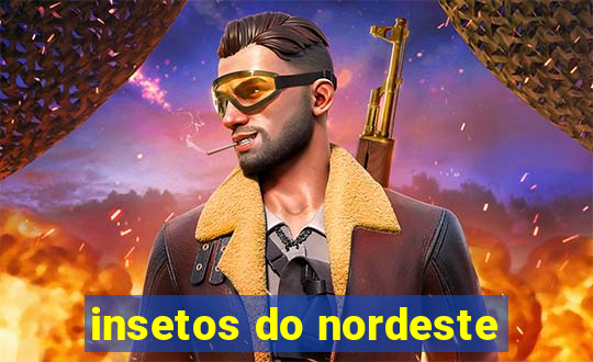 insetos do nordeste